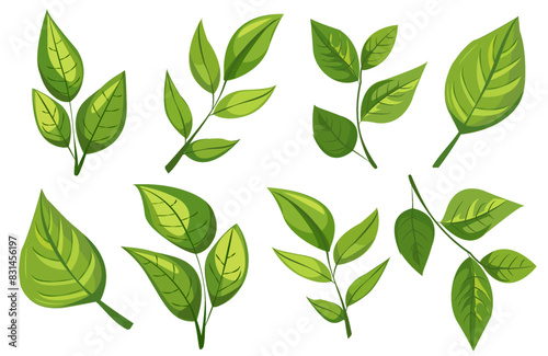 featuring eight different types of green leaves. Each leaf showcases unique shapes and vein patterns. graphic is simple, clean, and vibrant, ideal for nature-themed designs and eco-friendly projects photo