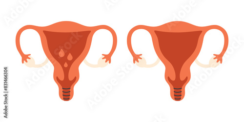 Female reproductive system anatomy. Uterus. Gynecology, menstruation. Vector illustration in flat style