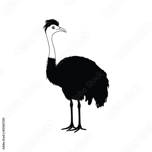 Ostrich vector icon or logo design