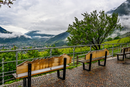 Dorf Tirol, Meran, Weinberg, Weinpergola, Aussichtspunkt, Vinschgau, Etschtal, Etsch, Algund, Wanderweg, Parkbank, Spazierweg, Meranerland, Südtirol, Frühling, Sommer, Nebel, Italien photo