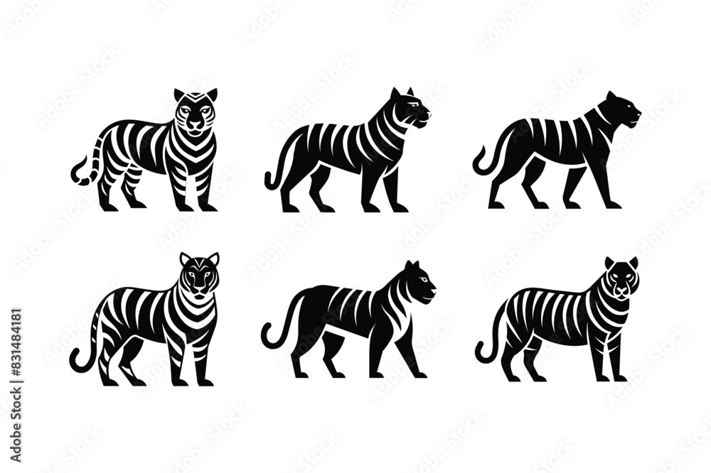 sets of Tigers silhouette on white background | vector illustration sets of Tigers silhouette on white background | vector illustration