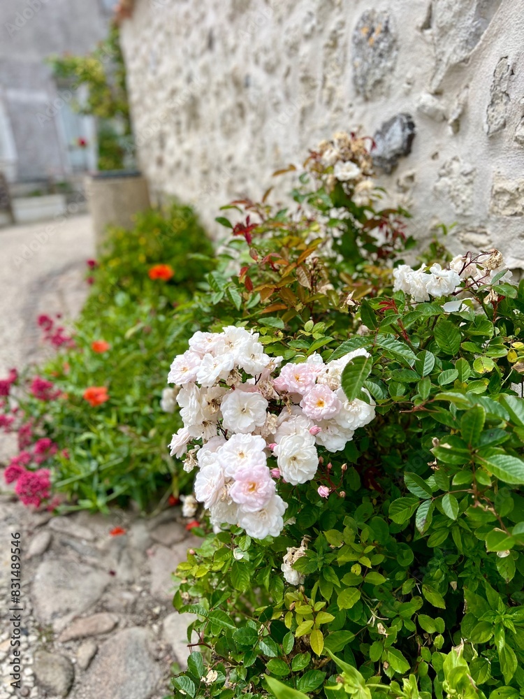 Talmont-sur-Gironde Talmont-sur-Gironde