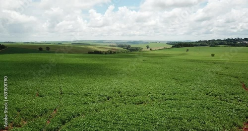 Aerial view of field