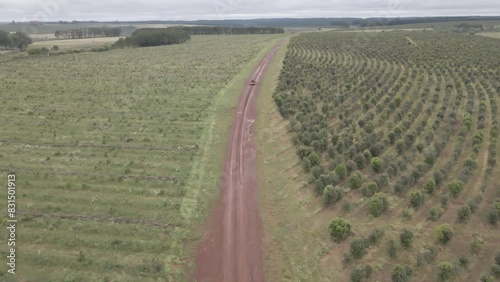 Aerial view of tractors walking through a field
