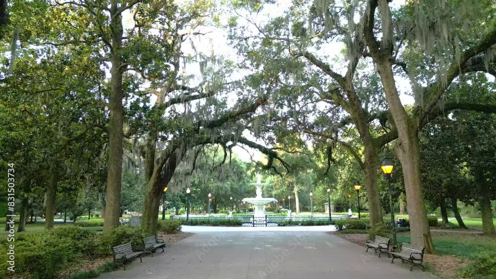 Forsyth Park Fountain North View 4K Forsyth Park Fountain North View 4K