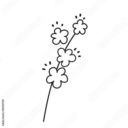 Mustard plant branch abstract vector drawing. Hand drawn botanical minimalist canola flower sketch illustration on isolated background. Design for Spice food, herbal seasoning ingredient, oil