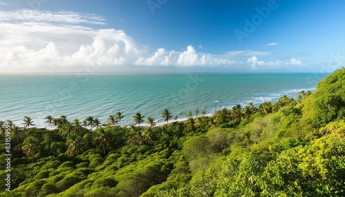 vista do mar de cima de um morro com vegetacao verde no litoral da bahia natureza intocada no nordeste brasileiro photo