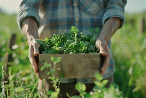 Hands young farmer is holding a box of organic vegetabl esagric ulture farm field harvest garden nutrition organic fresh portrait outdoor slow motion photo