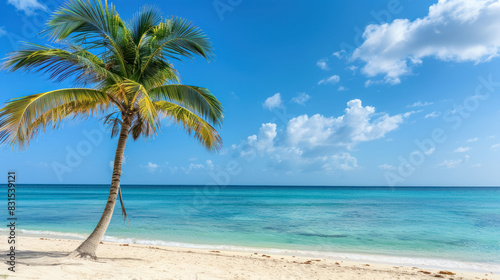 tropical paradise scene with a lone palm tree on a serene Caribbean beach