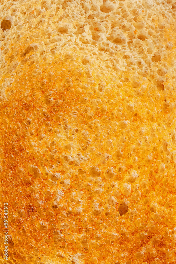 Slice of golden toasted bread close-up Slice of golden toasted bread close-up