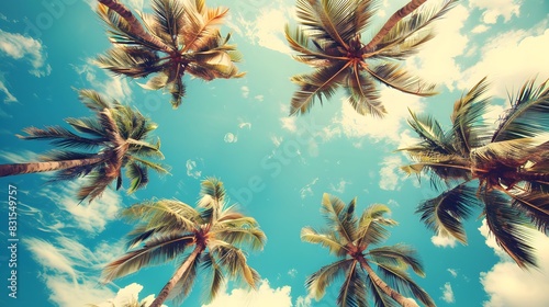 Looking up at blue sky and palm trees  view from below  vintage style  tropical beach and summer background  travel concept. 