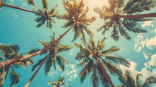 Looking up at blue sky and palm trees  view from below  vintage style  tropical beach and summer background  travel concept. 