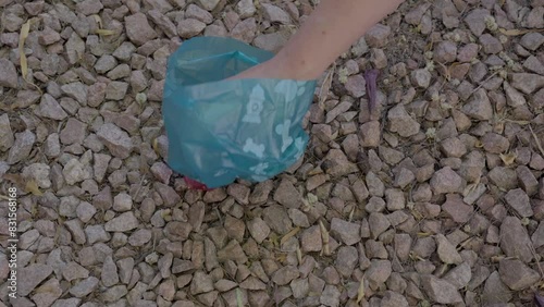 This video shows a close up view of a hand picking up dog poop with a plastic bag.  photo