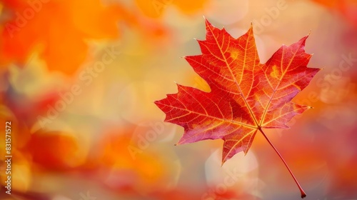 Vibrant Maple Leaf  Symbol of Canada in Stunning Autumn Colors with High Detail on Blurred Background