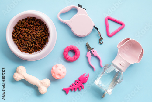Pet Supplies on Blue Background. Essential pet care items including dry food in a bowl, retractable leash, grooming tools, water bottle, and playful toys such as chew bones and balls. Flat lay.