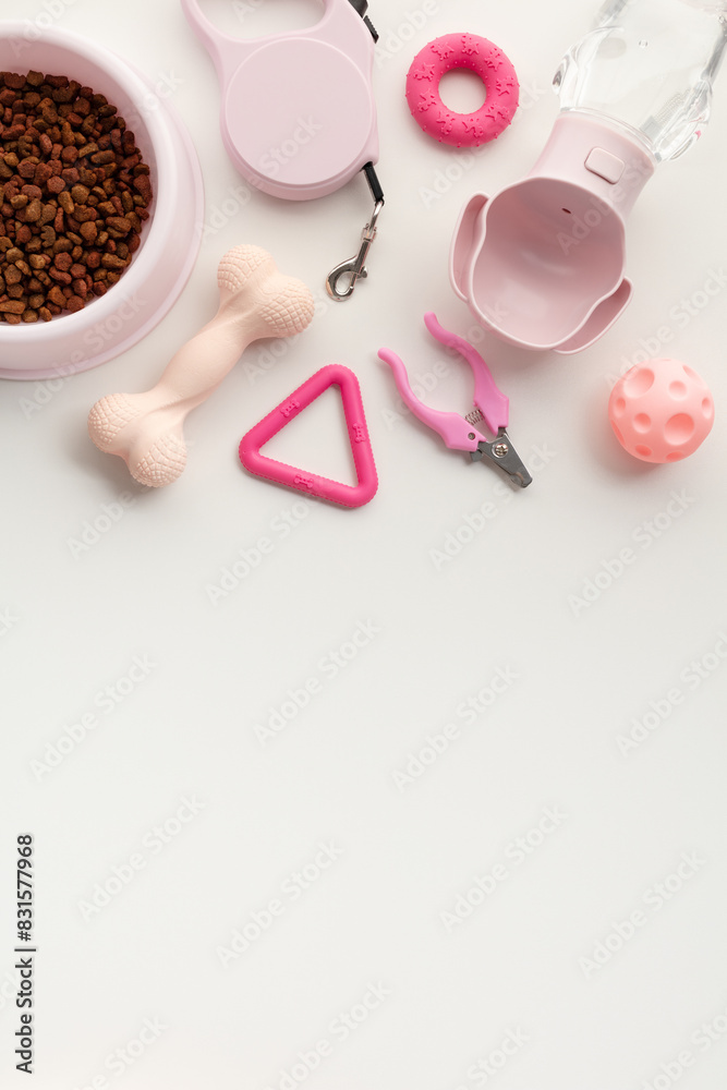 Flat lay pet supplies on white background. Bowl of dry pet food, a stylish pink leash, rubber toys, and grooming essentials. Ideal for pet care articles, online pet stores.