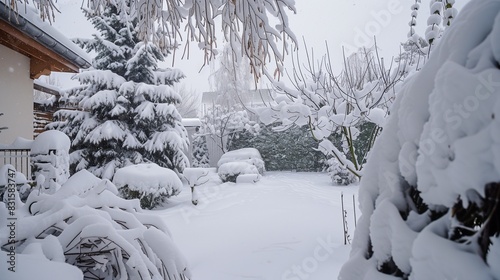 Backyard covered in thick snow photo