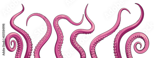 A vector set of pink octopus tentacles. Underwater monster graphic.