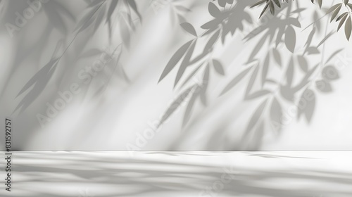Minimalistic light background with blurred foliage shadow on a white wall. Beautiful background for presentation with with smooth floor.
