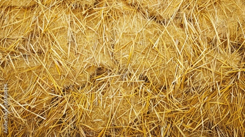 Farm background with yellow straw texture