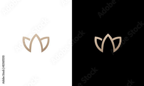 letter w abstract monogram logo design vector