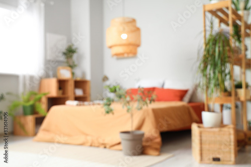Blurred view of bedroom with green plants and shelf units