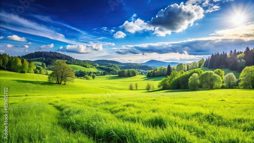 Serene green grass meadow under a clear blue sky in