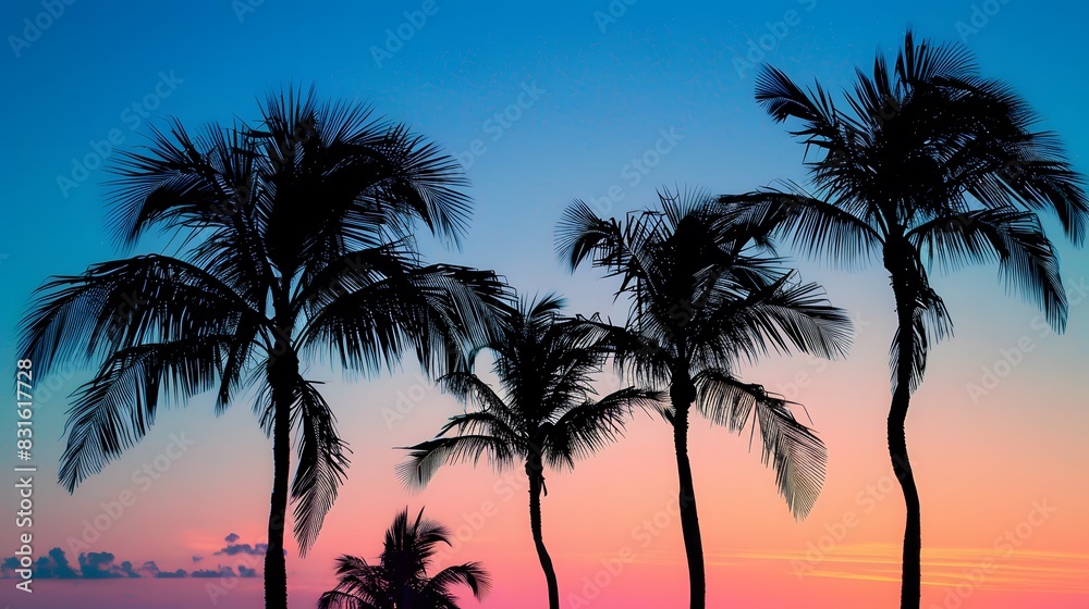 Summer composition. Palm leaves on pastel blue background. Summer composition. Palm leaves on pastel blue background.