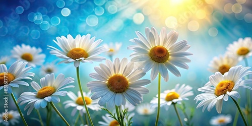 Vibrant daisy flowers blooming on a serene blue background