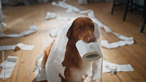 Puppy making mess toilet paper playing in apartment close up. Dog holding roll