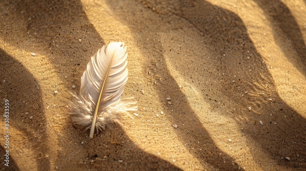 White feather rests on sandy desert terrain with shadow patterns White feather rests on sandy desert terrain with shadow patterns