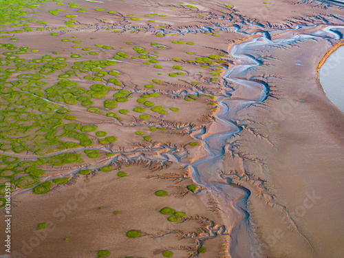 The texture of the mudflats and aquatic plants form a landscape that looks like an abstract painting. Captured at Qiantang river. photo