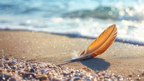 Brown feather on sandy beach near ocean waves