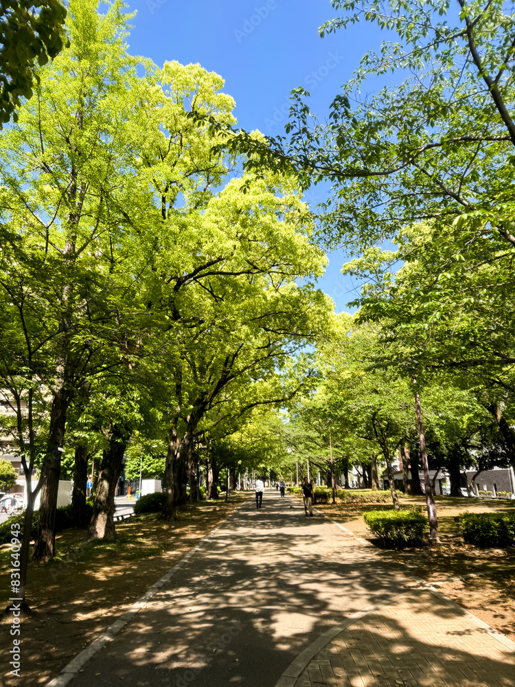 Yokohama Yokohama