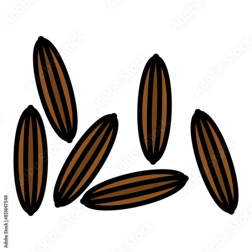 cumin icon 