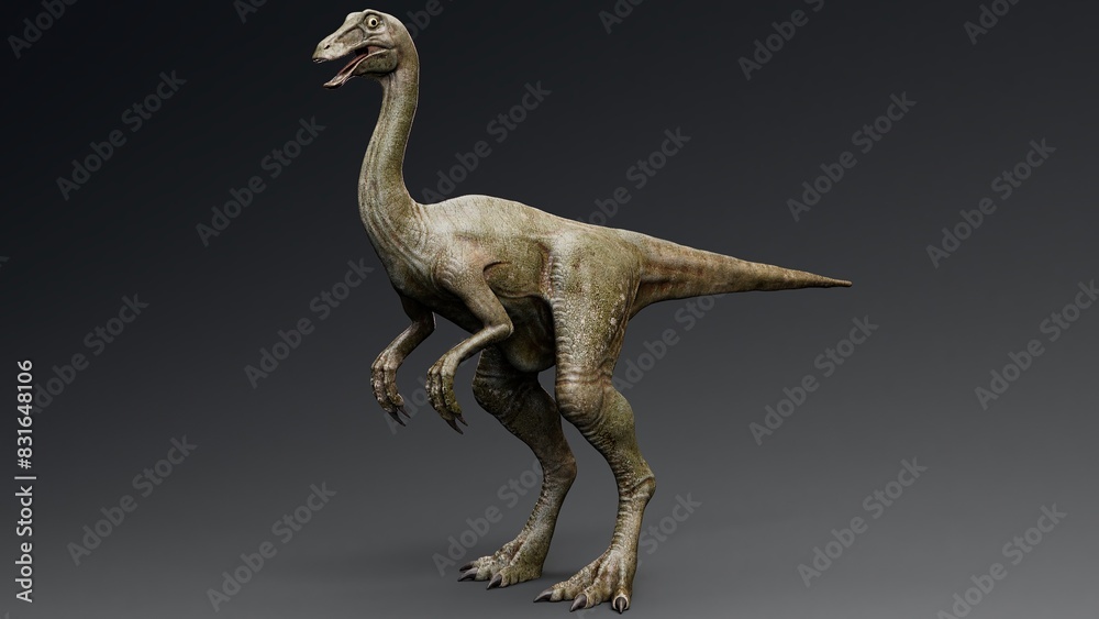 Fototapeta premium Gallimimus Model of background, 3d rendering