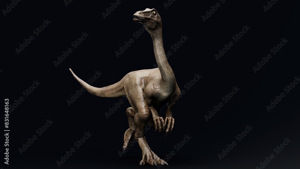 Fototapeta premium Gallimimus Model of background, 3d rendering