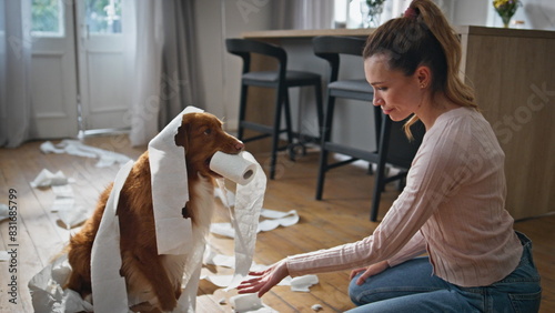 Owner quarreling disobedient pet wrapped in toilet paper at home close up. 