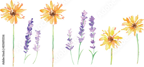 ラベンダーと向日葵の水彩ベクターフレーム。水彩画。水彩タッチの夏の花フレーム。Watercolor vector frame of lavender and sunflowers. Watercolor painting. Summer flower frame with watercolor touch.