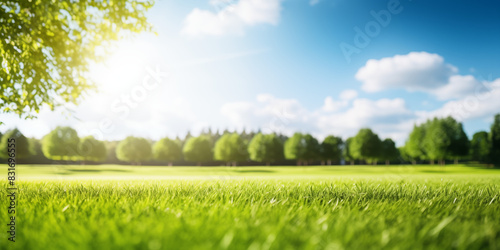 A green meadow under a clear blue sky with fluffy white clouds on a sunny day