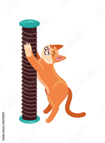 cat with scratching post rope