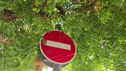 A 'No Entry' traffic sign hidden behind the leaves of the trees in UAE photo