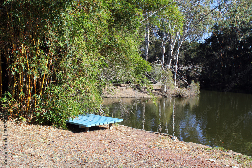 Blue bench seat, bamboo and trees on the edge of a lake of water at Reg Tanna Park in Gladstone, Queensland, Australia Blue bench seat, bamboo and trees on the edge of a lake of water at Reg Tanna Park in Gladstone, Queensland, Australia