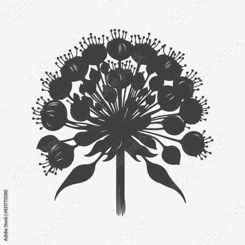 Print Ethereal Elegance, Majestic Silhouette of the Ornamental Onion Flower