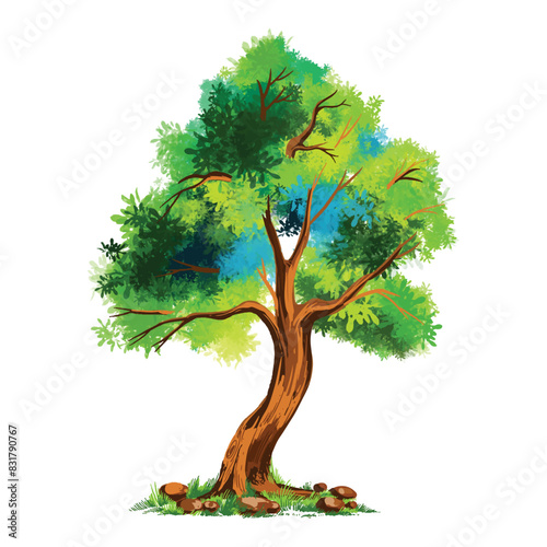 An isolated tree on white background