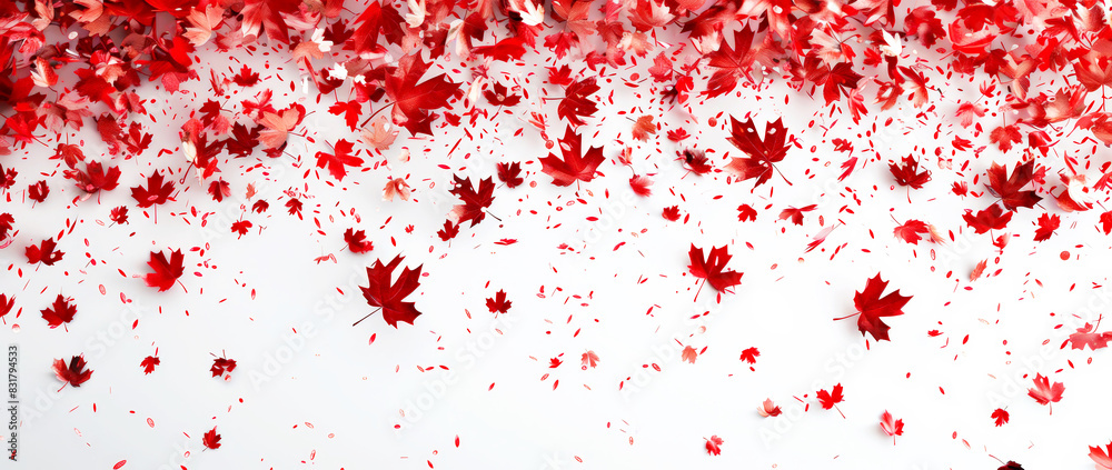 Maple leaves and confetti falling and scattered on a white background. Maple leaves and confetti falling and scattered on a white background.