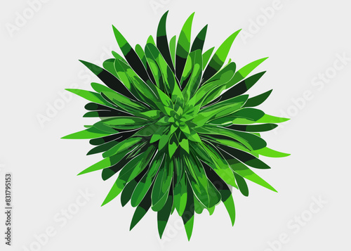 Exotic flora and vegetation of rainforests and jungles, isolated tropical leaves. Set of banana and palmetto, palm and monstera branches. Botany and decoration in realistic 3d cartoon vector