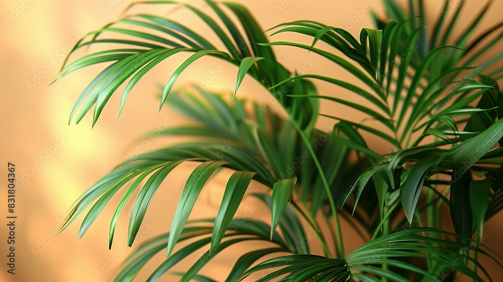 A close-up of a potted plant with a yellow wall in the background of the image A close-up of a potted plant with a yellow wall in the background of the image