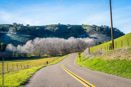 Rolling Hills of Los Olivos