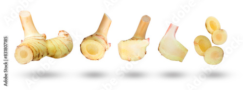 Flying galangal rhizomes with sliced collection isolated on white background.